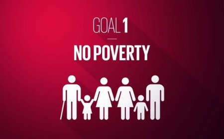 Standard Intern: Bridging the Gap Towards Zero Poverty