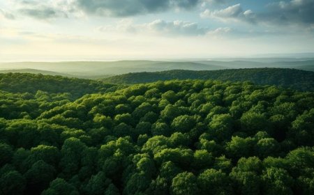 Green Growth: Standard Intern’s Commitment to Sustainability