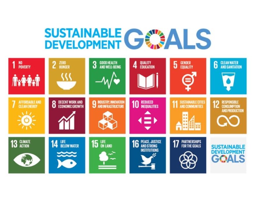 Standard Intern: Bridging the Gap Towards Zero Poverty