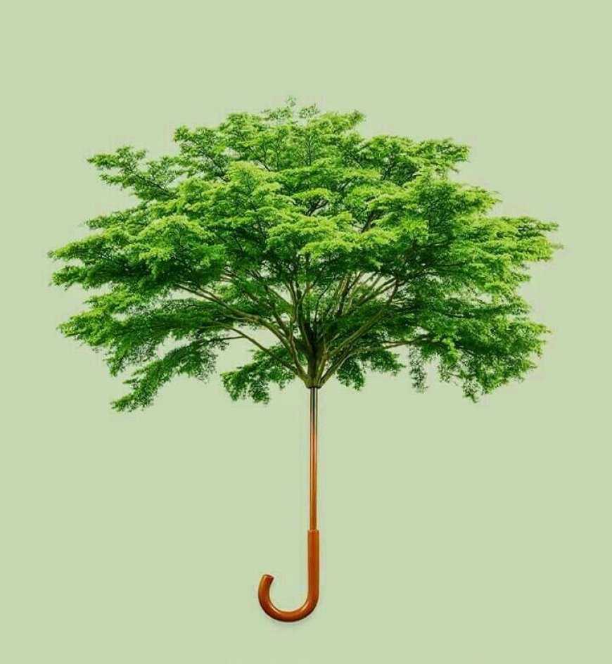 Standard Intern’s Eco-Initiative for a Greener Future