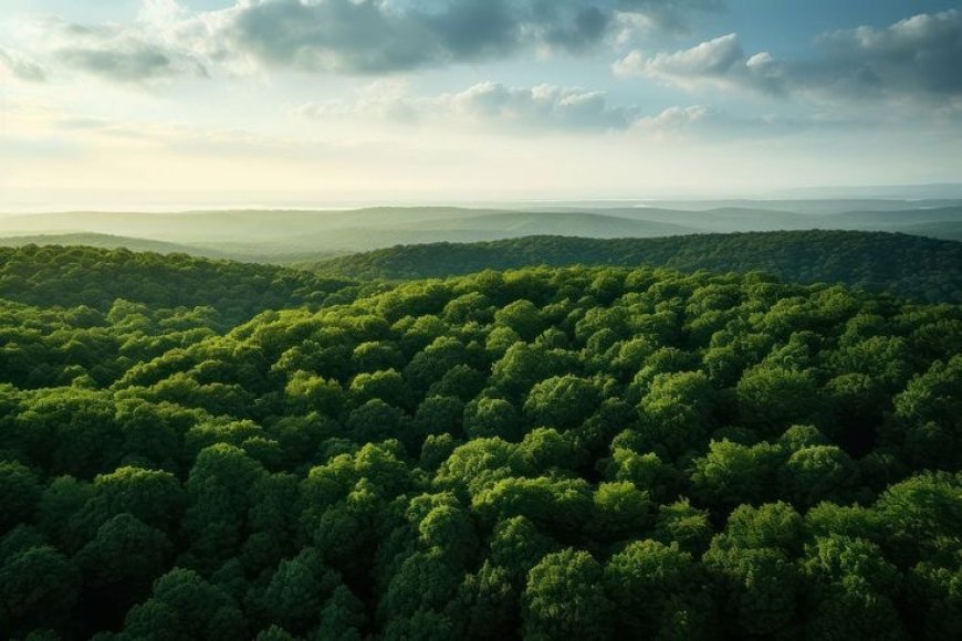 Green Growth: Standard Intern’s Commitment to Sustainability